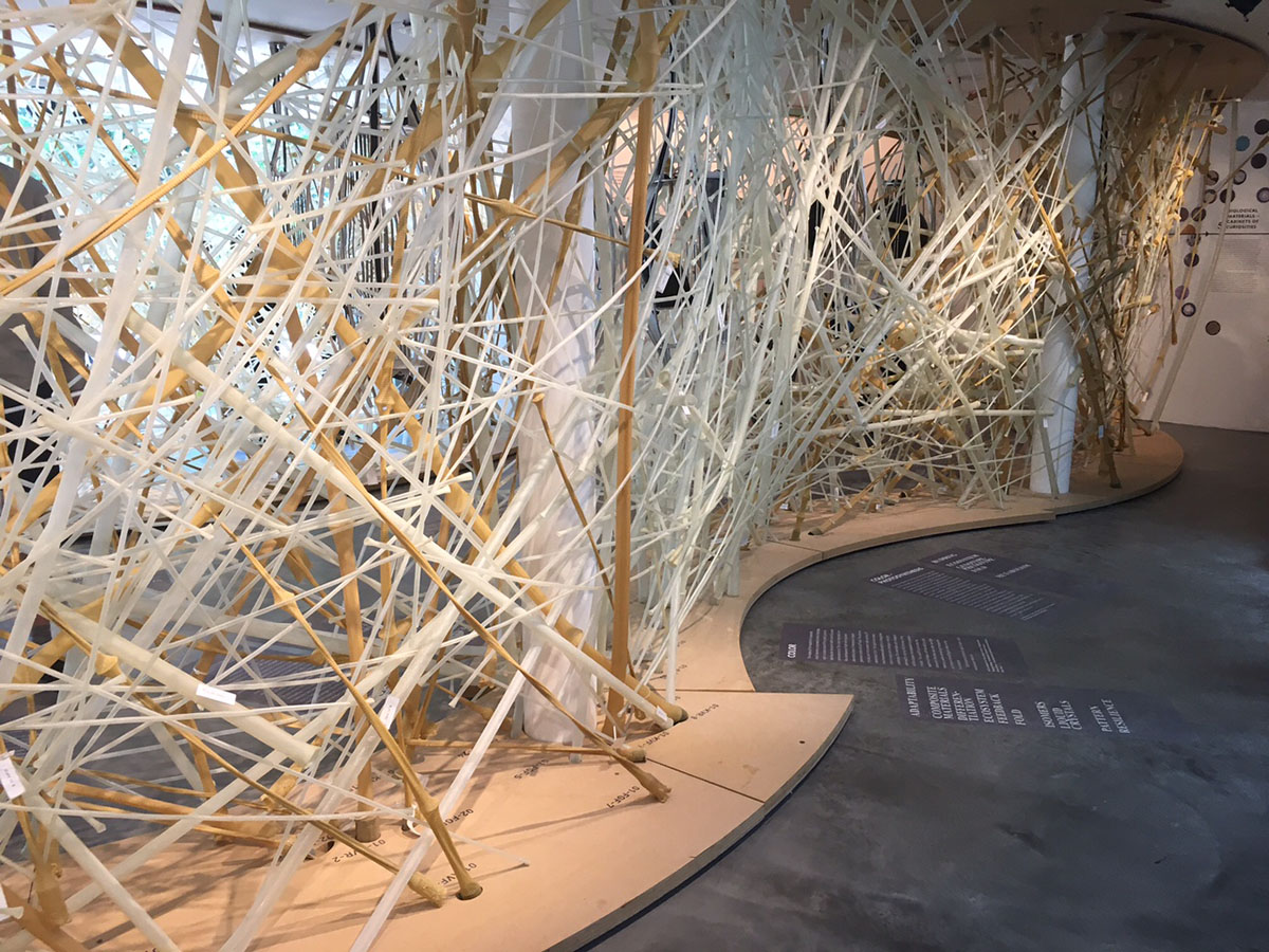 Israel Pavilion&rsquo;s LifeObject exhibition merges Biology and Architecture in Venice Biennale