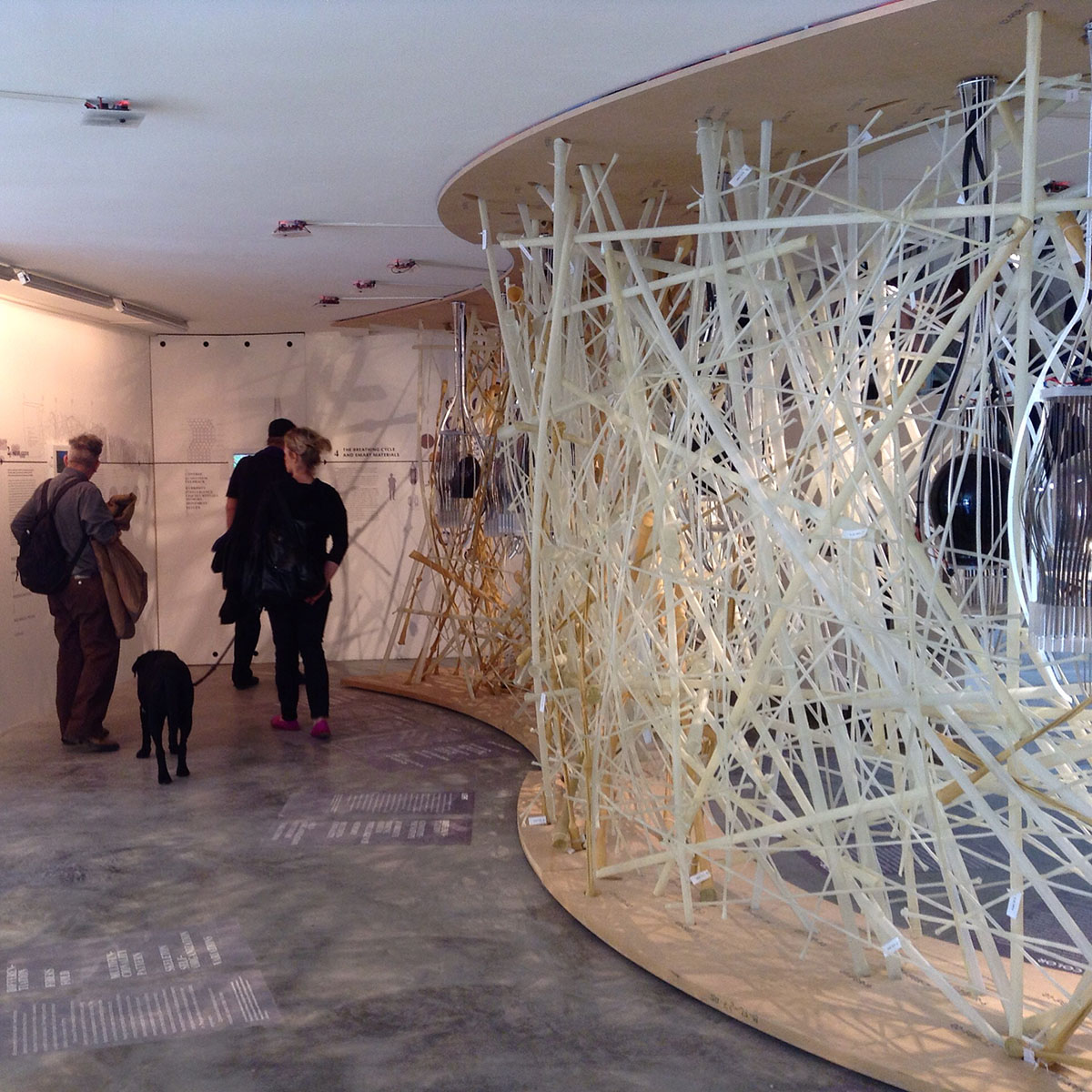 Israel Pavilion&rsquo;s LifeObject exhibition merges Biology and Architecture in Venice Biennale