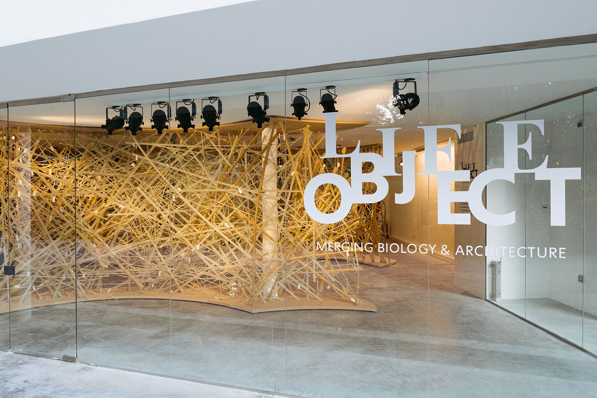 Israel Pavilion&rsquo;s LifeObject exhibition merges Biology and Architecture in Venice Biennale