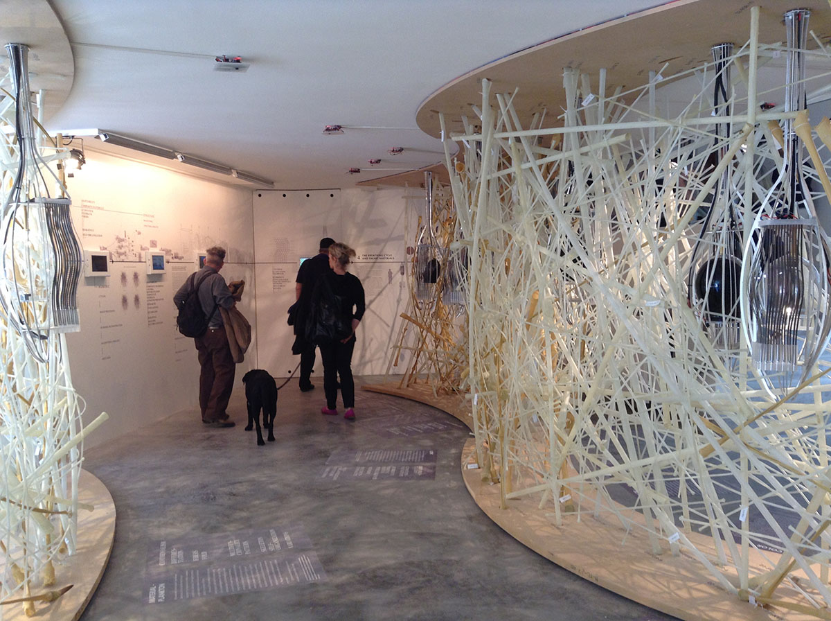 Israel Pavilion&rsquo;s LifeObject exhibition merges Biology and Architecture in Venice Biennale