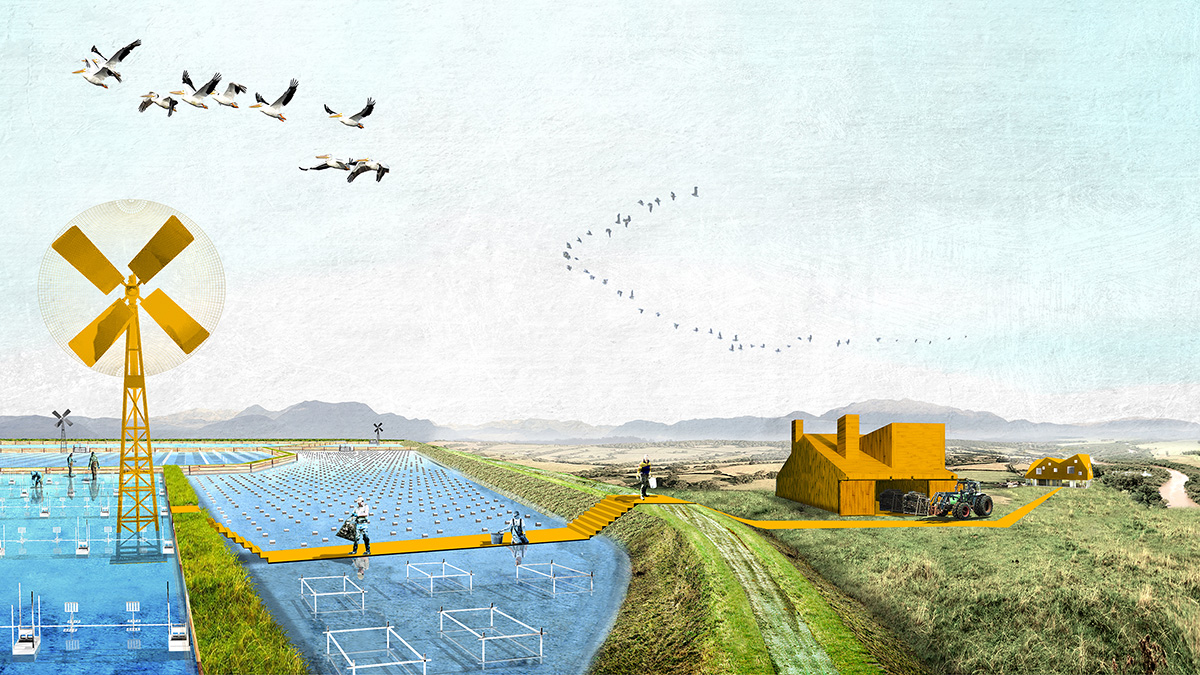 LOLA landscape architects presents their vision for Solana Ulcinj Montenegro at the Venice Biennale