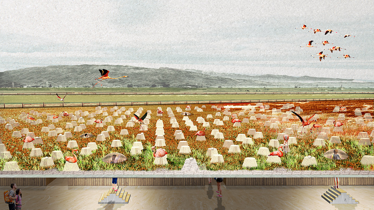 LOLA landscape architects presents their vision for Solana Ulcinj Montenegro at the Venice Biennale