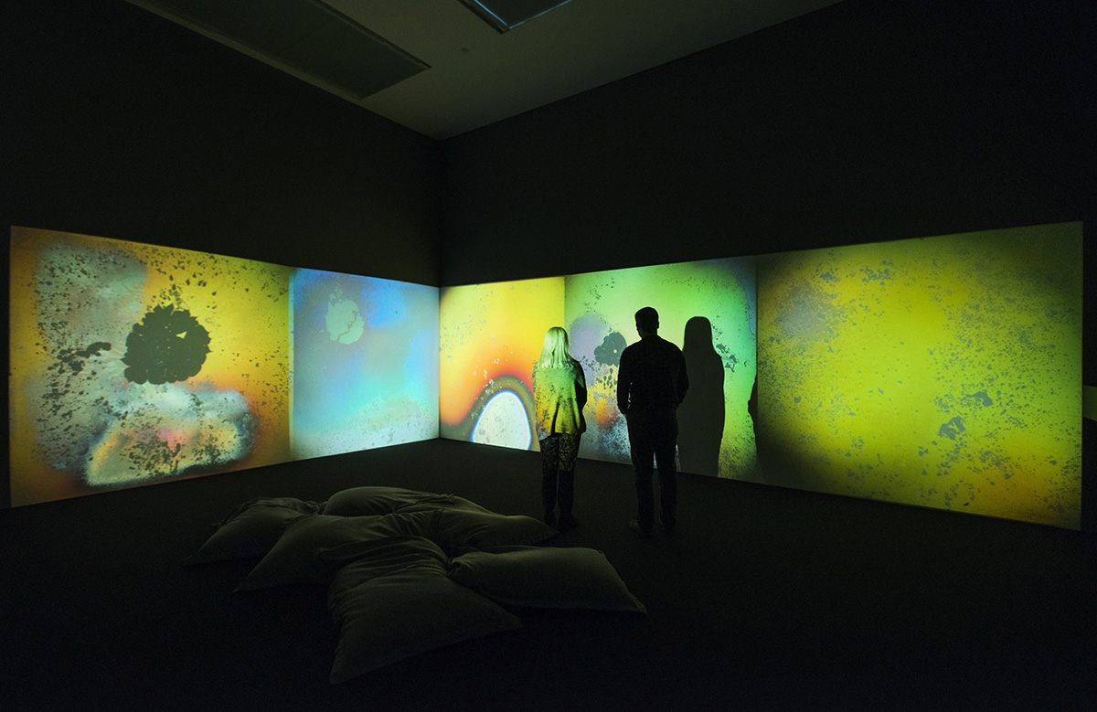 Tate Modern: New Art for a New View of the World