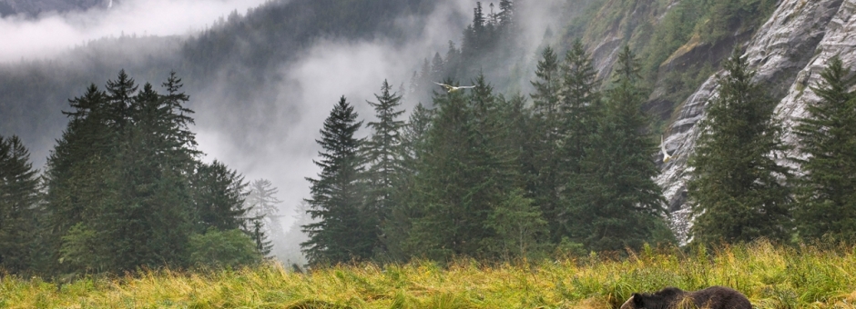 Buckminster Fuller Institute announces six finalists for the 2016 Fuller Challenge