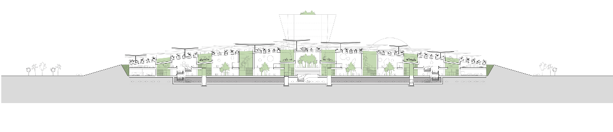 Weston Williamson&rsquo;s New Cairo Science City offers an emblematic vision with flower-like buildings