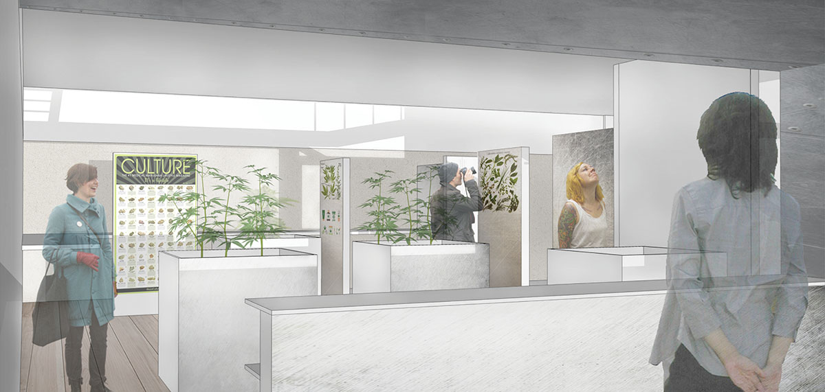 Cannabis Bank winners are announced!