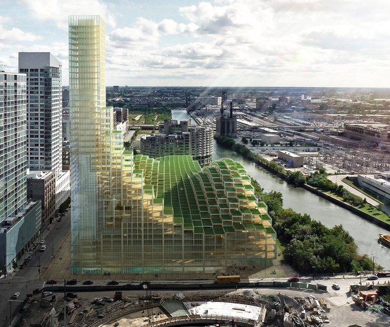 Researches show that glue makes plant cell walls strong and might be the future of Wooden Skyscrapers