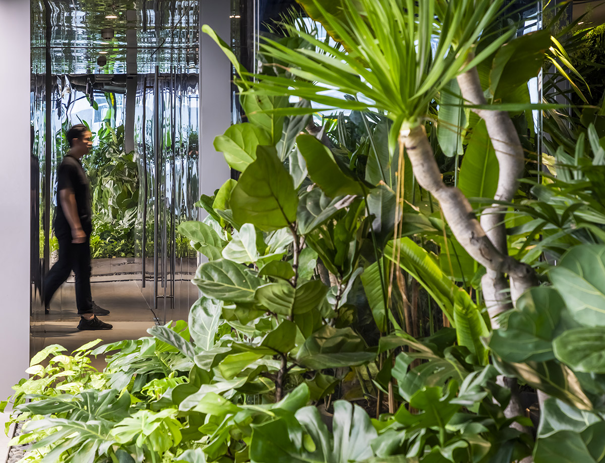 MIA Design Studio creates an outdoor garden for Mr.Green’s Office in Vietnam