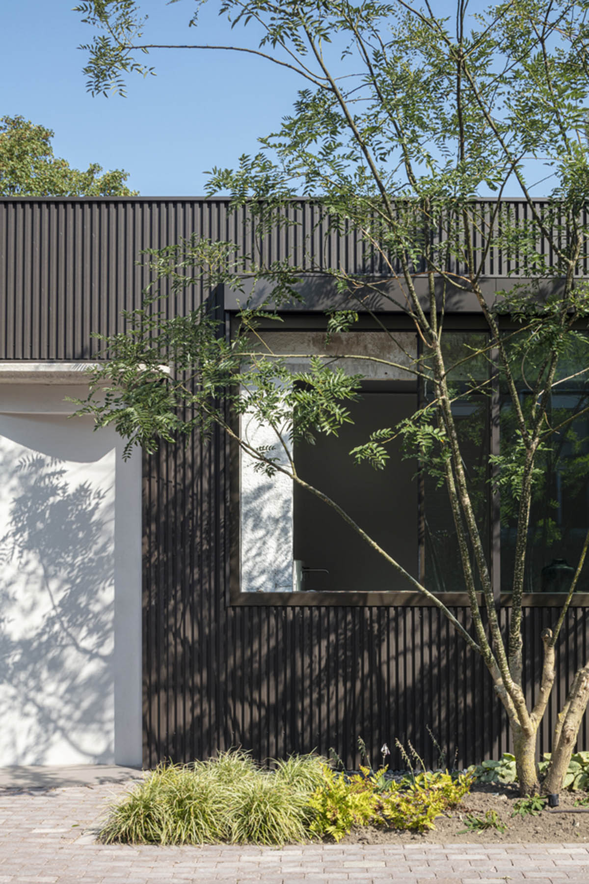 MASA architects converts abandoned 1940s sports building into new villa with naked brick walls 