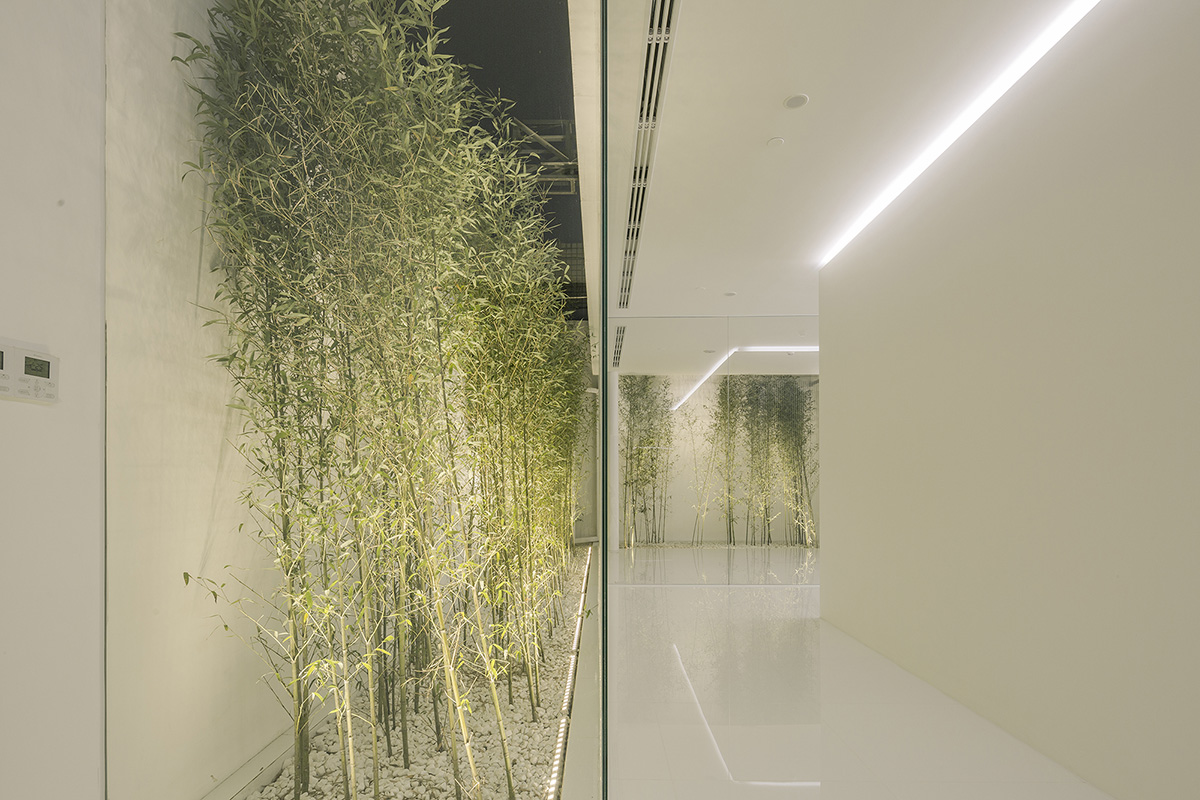 V Studio wraps the whole interior facade of this private residence with bamboo forest in China