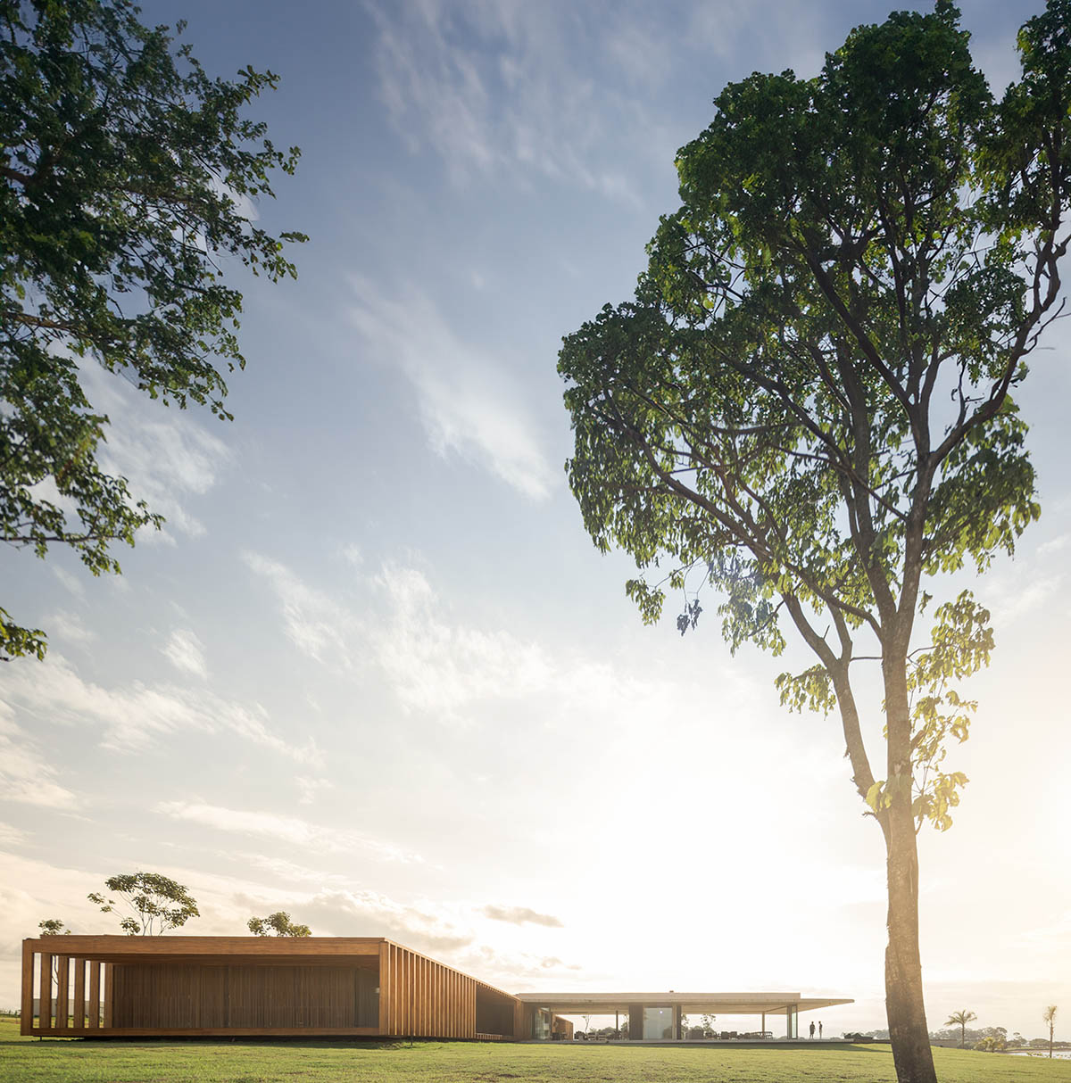 T-shaped weekend house by mf+arquitects is blended with its natural surroundings in São Paulo 
