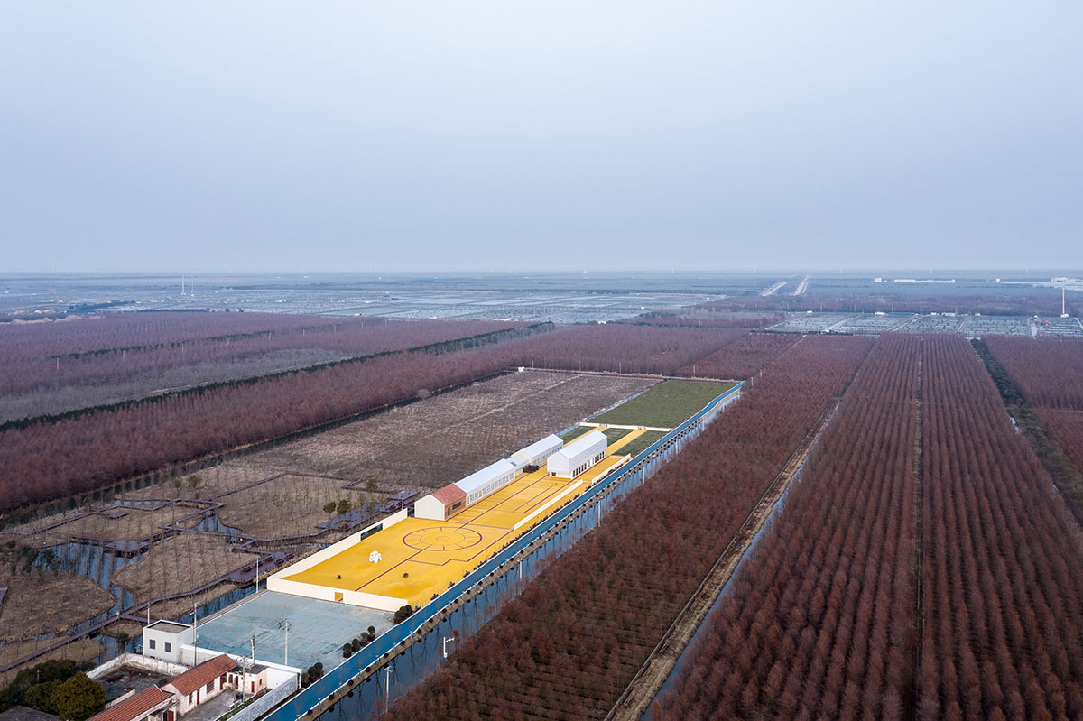 Wutopia Lab converts abandoned barnyard into a golden yellow field resembling a frozen harvest time