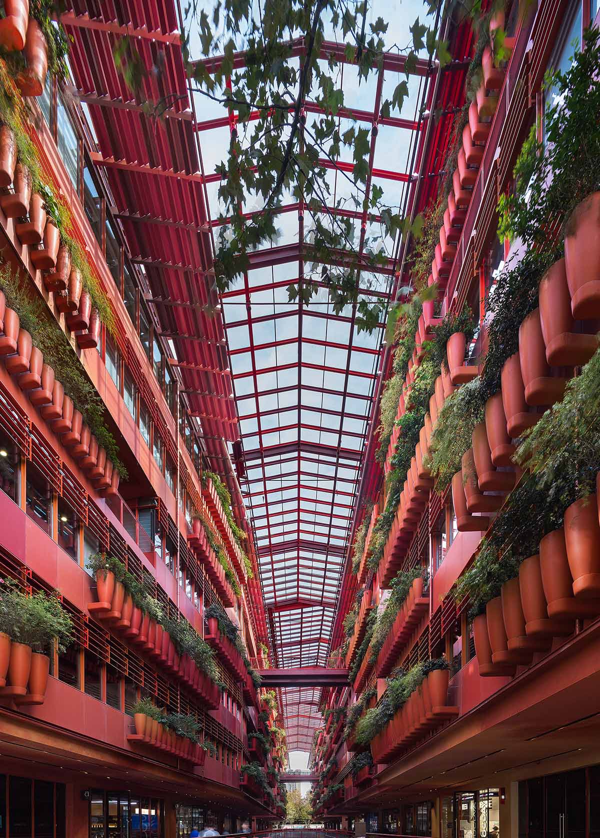 CCD HQ features industrial-style elements and greenery responding emotional needs of employees