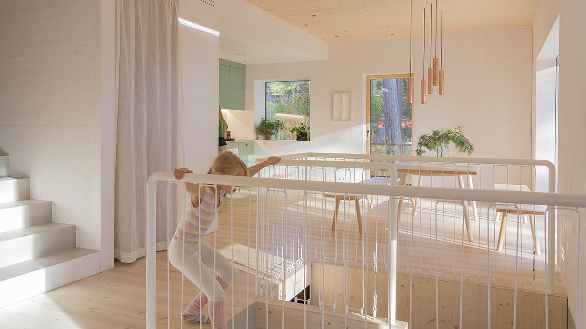 MK5 House features diverse windows and tortuous plan to frame changing views in a forest