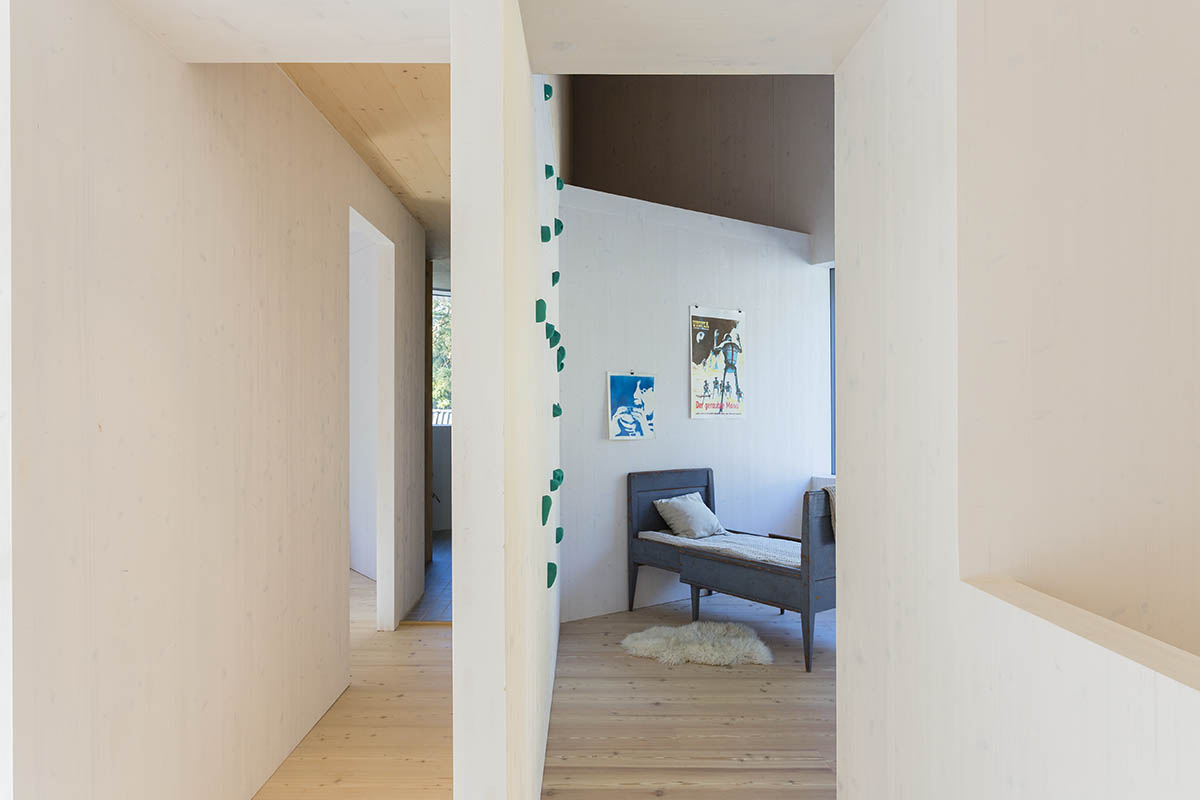 MK5 House features diverse windows and tortuous plan to frame changing views in a forest