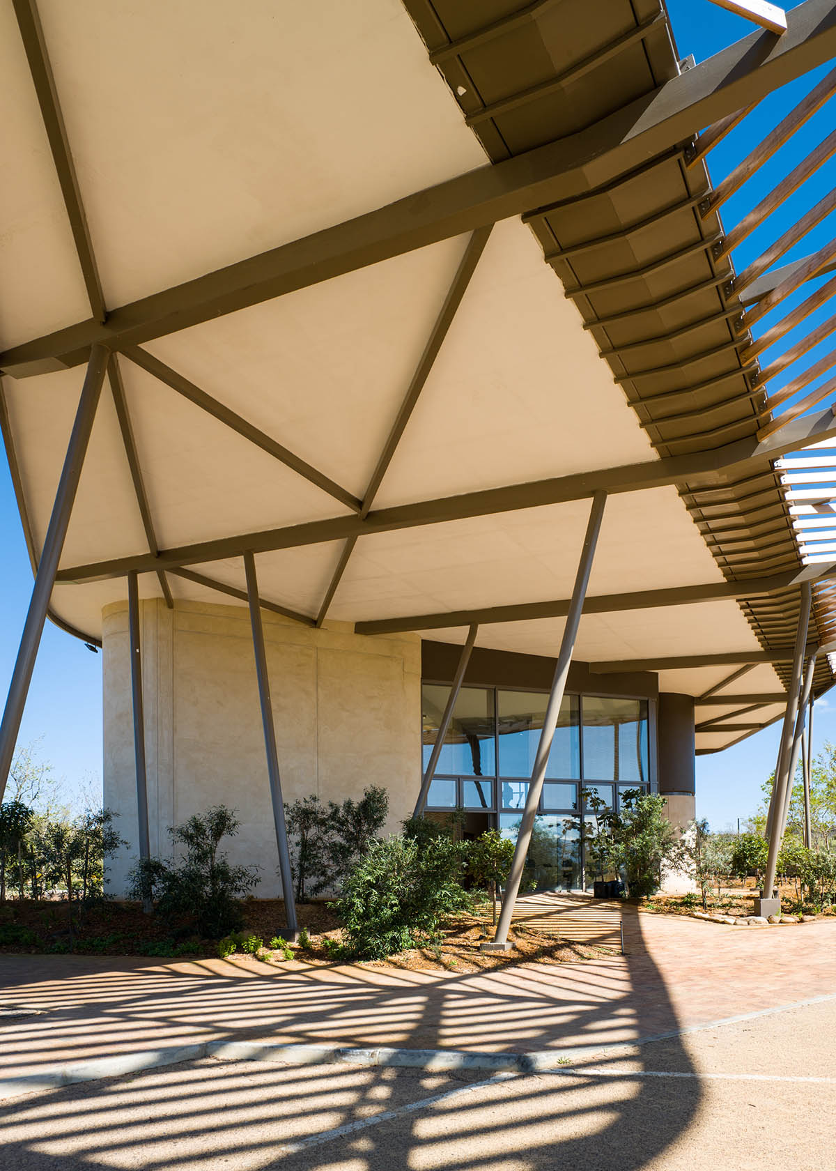 GASS Architecture Studios built green school with rounded walls and leaf-like roofs in South Africa 