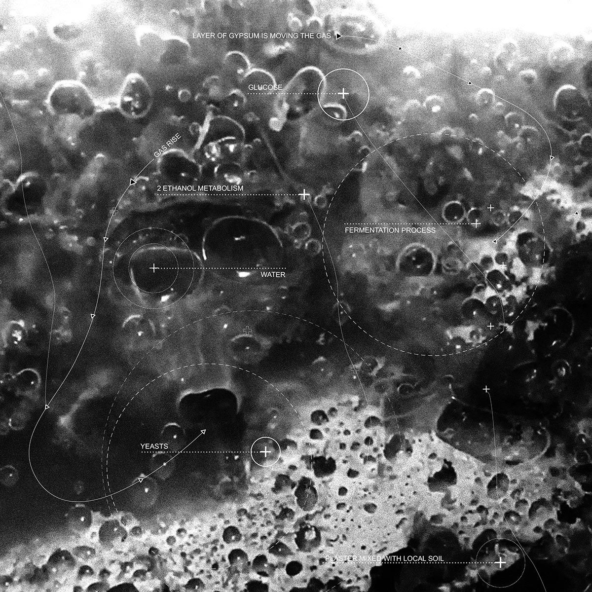 CHYBIK+KRISTOF's new sinuous winery takes inspiration from biological process of fermentation