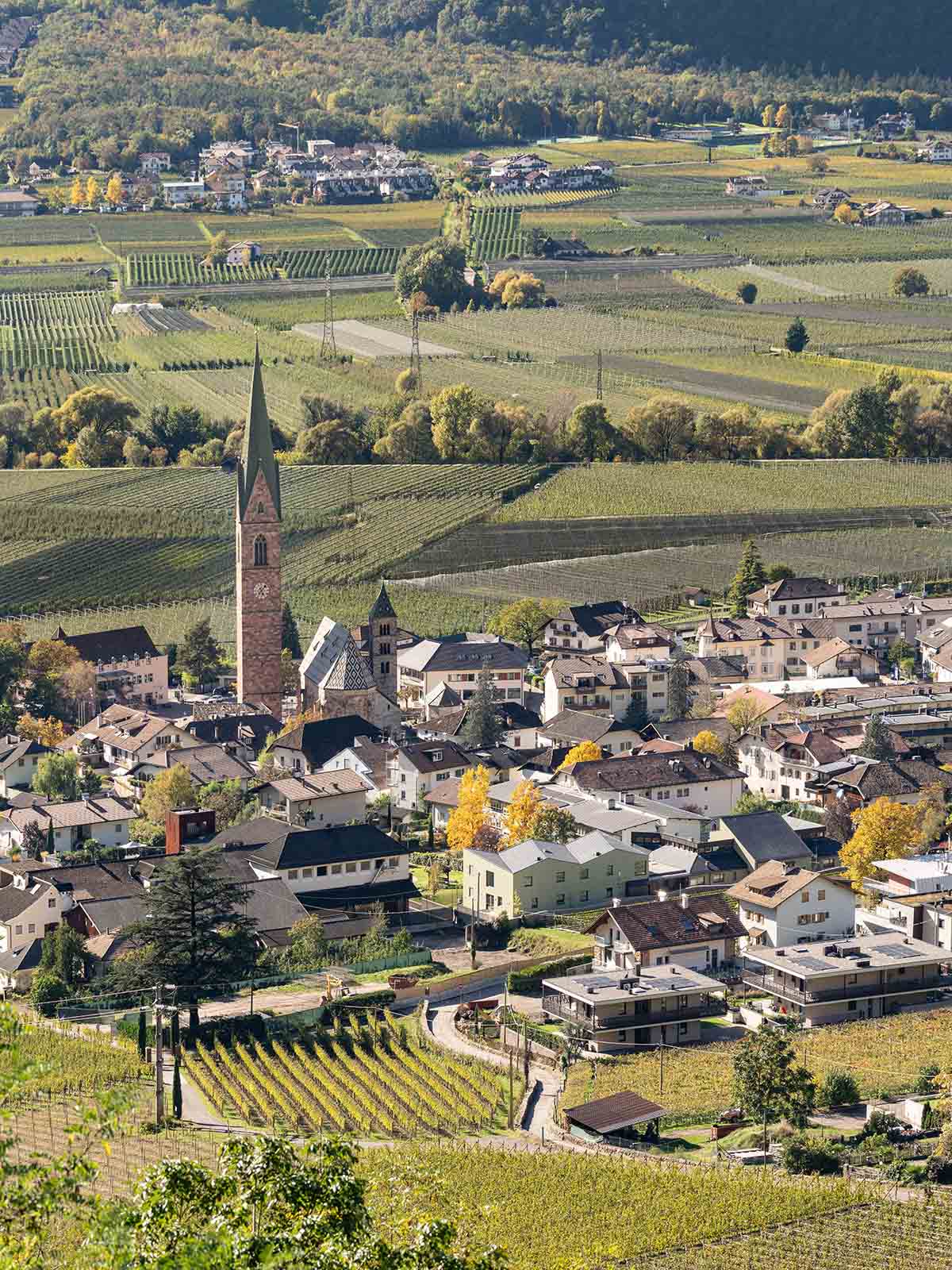 Zigzagged-profiled school featuring trapezoidal legs evokes traditional Tartan fabric in Terlano