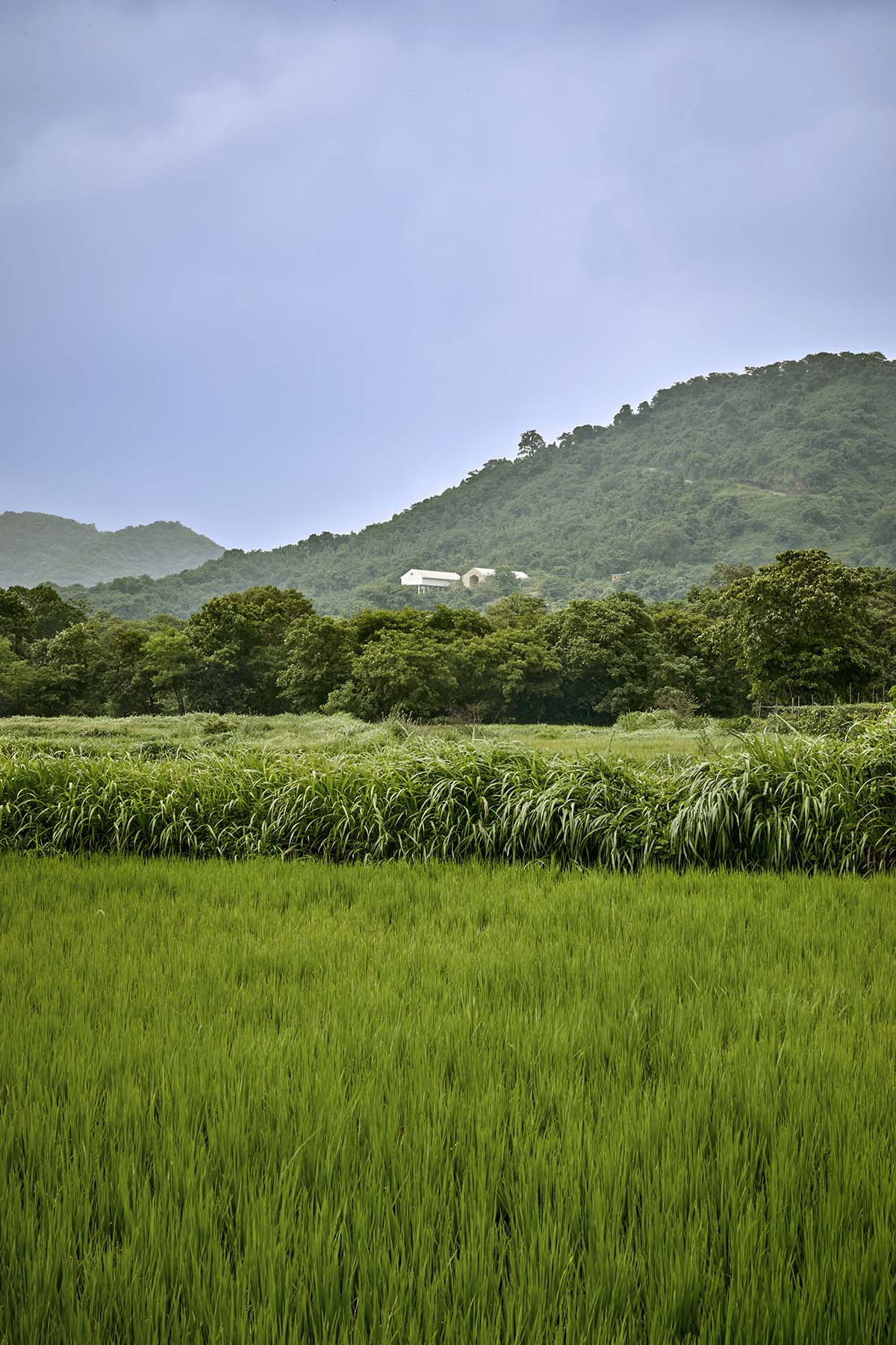 Retreat by Architecture BRIO features linear pavilion-like structures to frame views in Alibag 