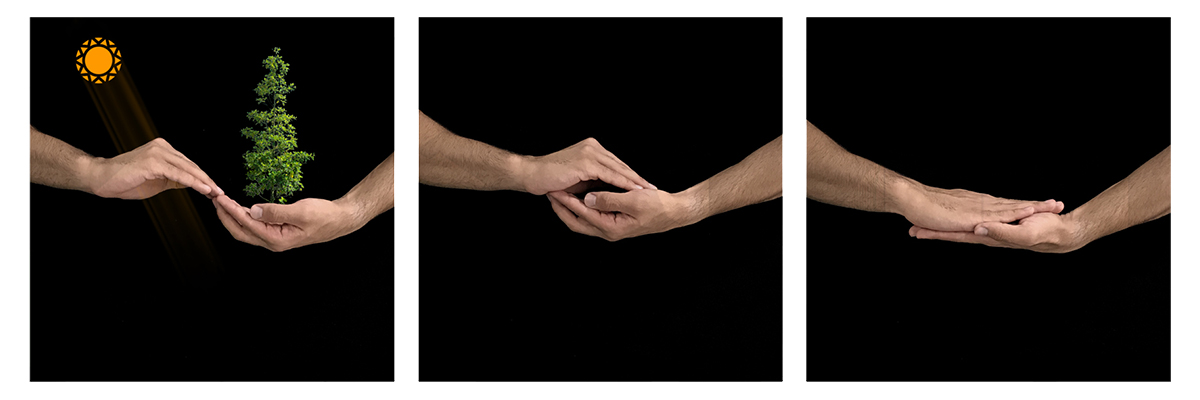 Arak's Martyrs Square