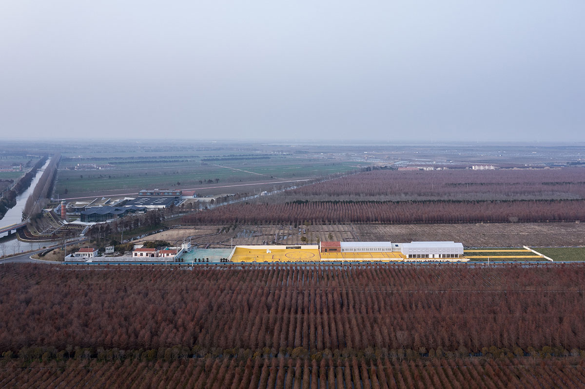 Wutopia Lab converts abandoned barnyard into a golden yellow field resembling a frozen harvest time