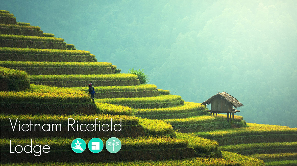 Call for registrations to the Vietnam Ricefield Lodge competition