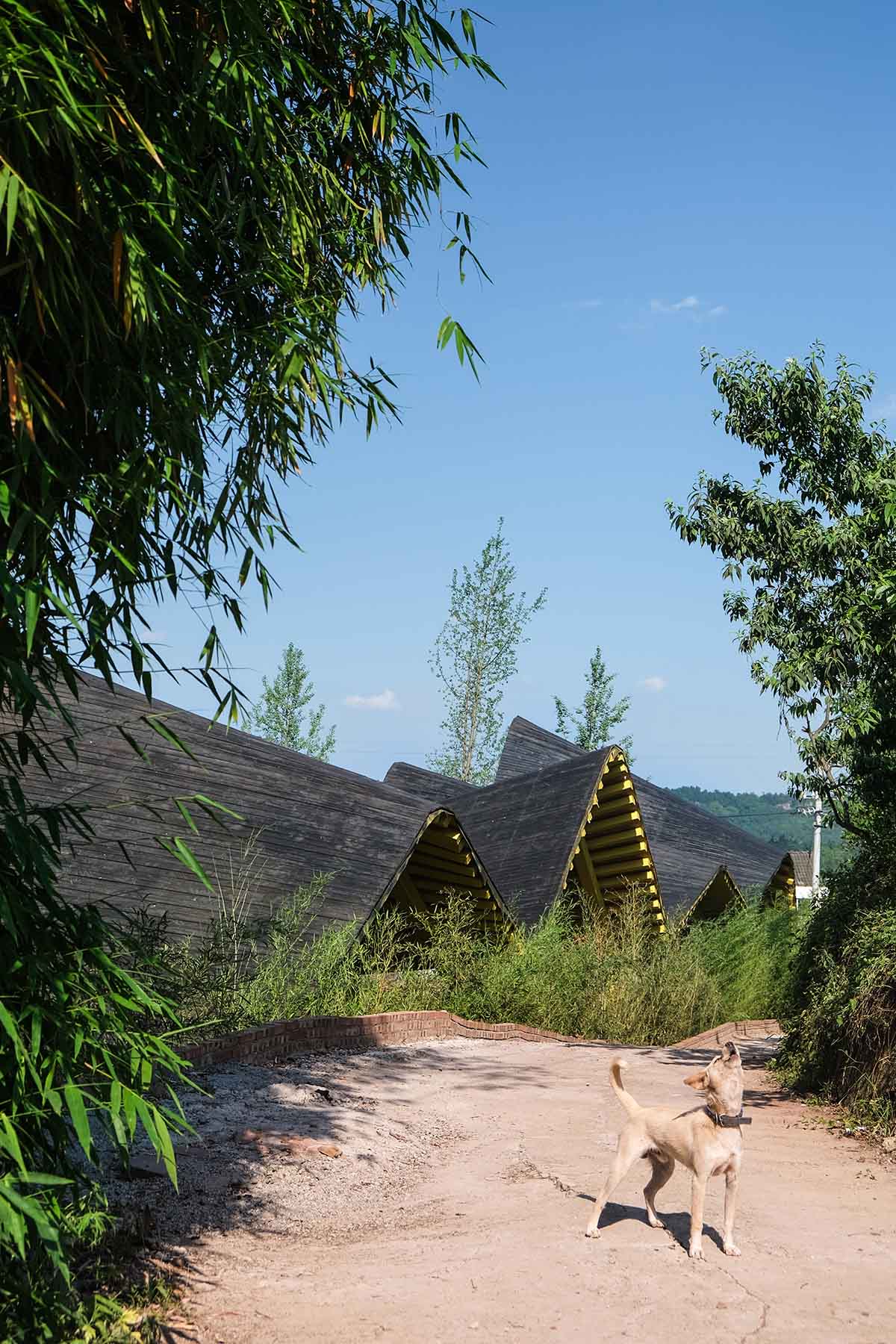 Archermit transforms former veterinary station into an agricultural talent center in Anyu, China 