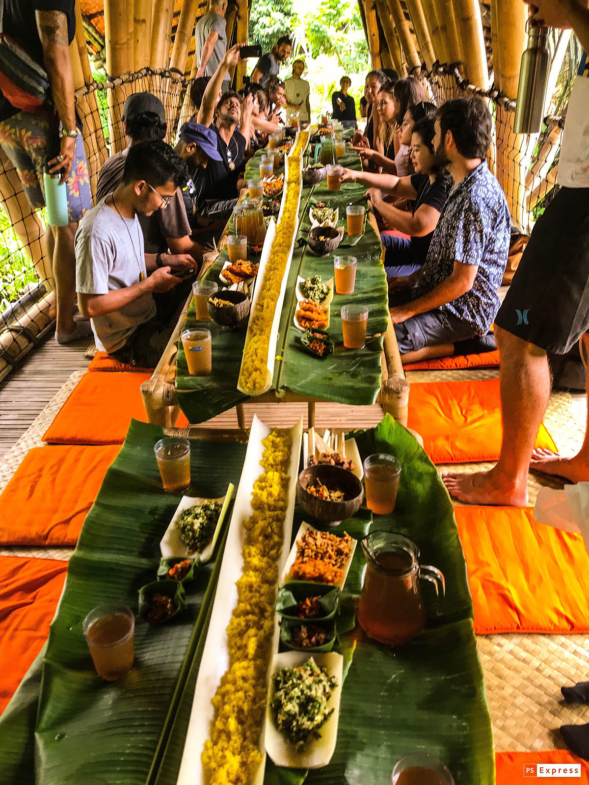 Bamboo: The Future of Sustainable Lifestyle