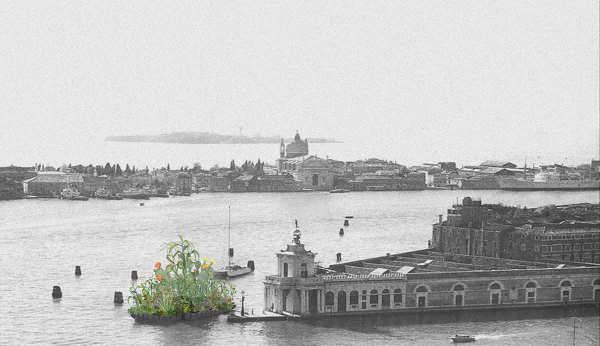Mexico Pavilion will focus on Regenerative Architecture at the 2025 Venice Architecture Biennale