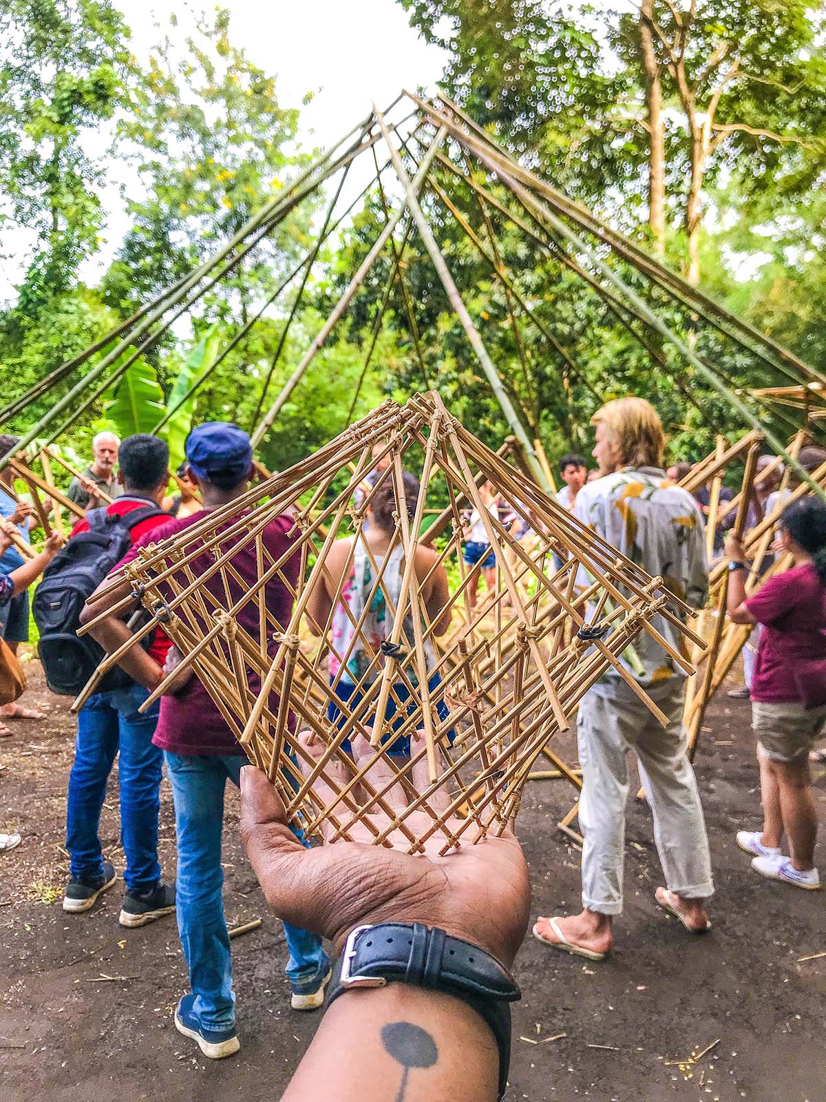 Bamboo: The Future of Sustainable Lifestyle