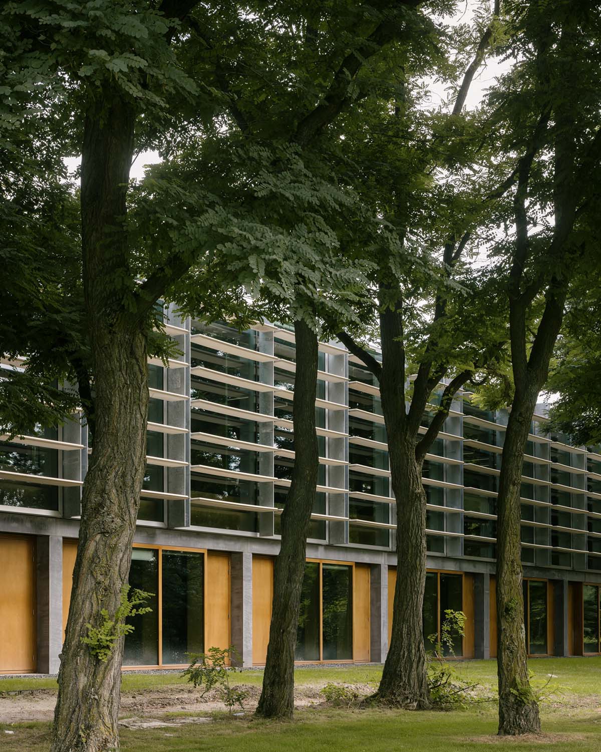 Civic Architects and VDNDP carve out Geo-faculty of ITC with four atria taking landscape inside 