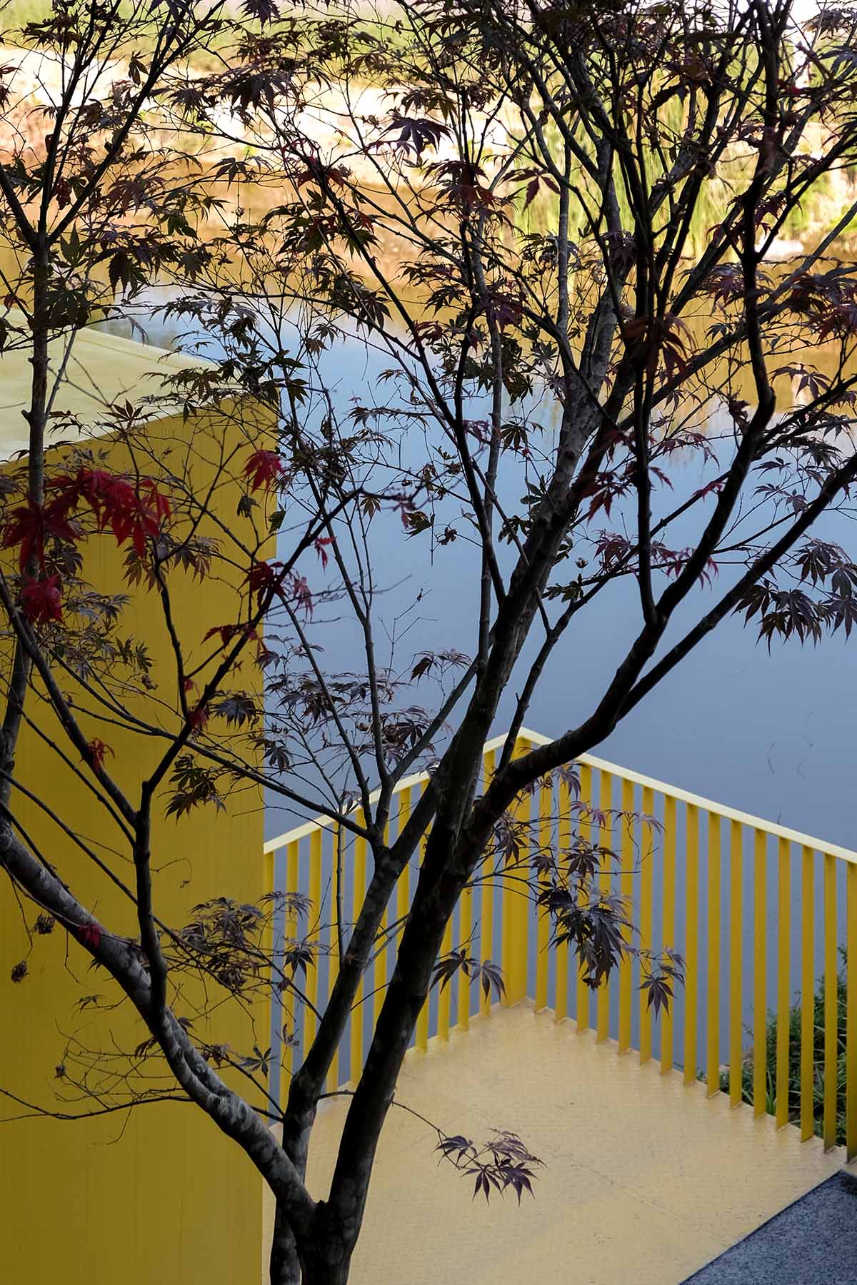 Archermit transforms former veterinary station into an agricultural talent center in Anyu, China 