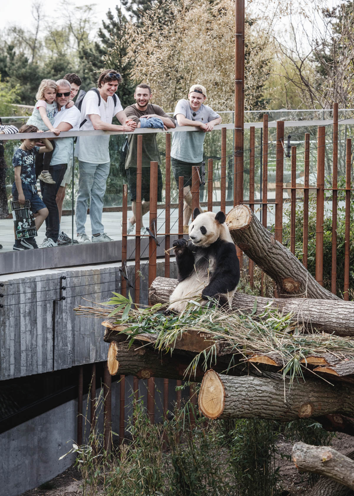 BIG creates Mao Sun and Xing Er's natural habitat in their circular