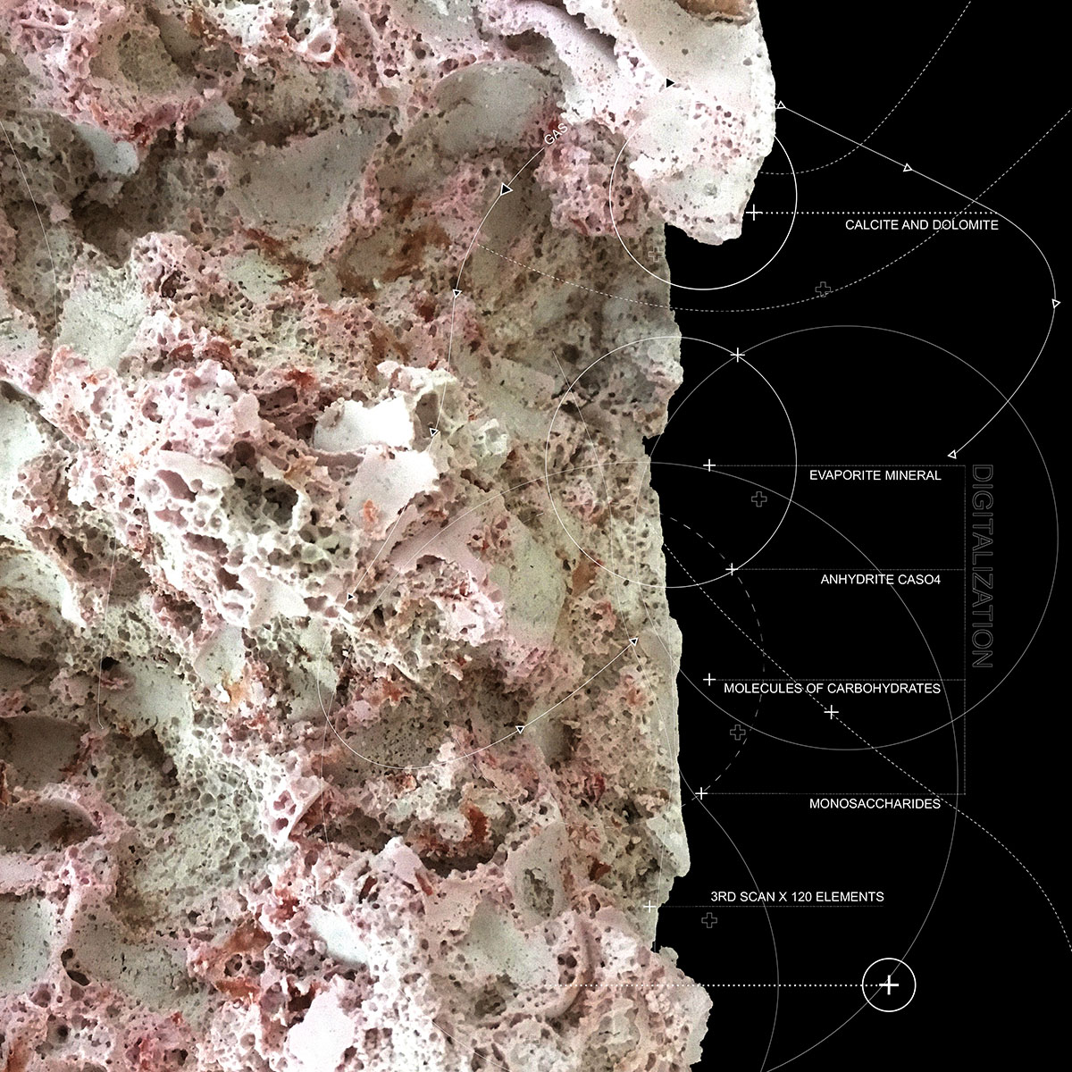 CHYBIK+KRISTOF's new sinuous winery takes inspiration from biological process of fermentation