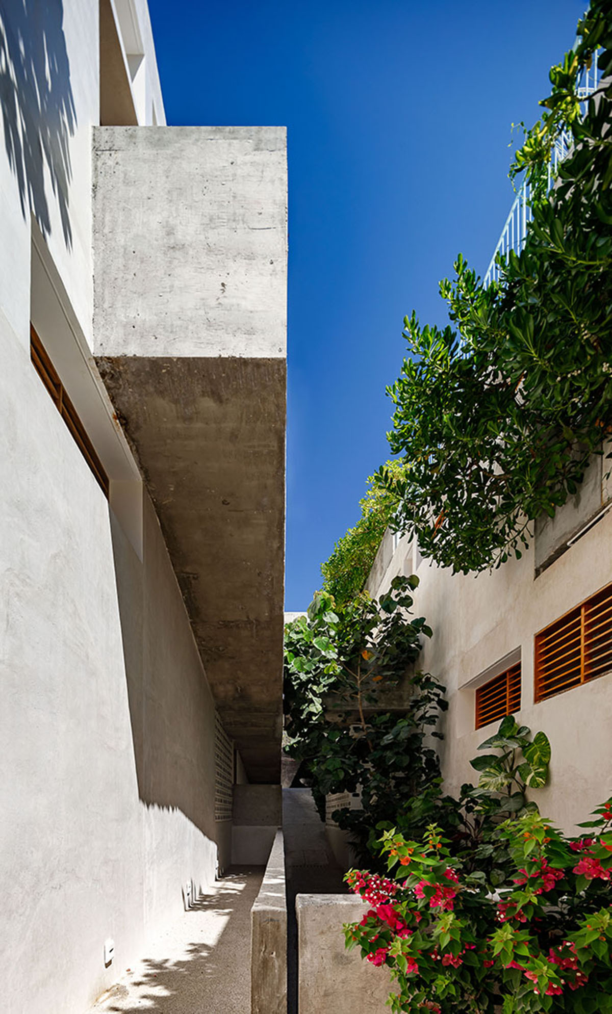 Francisco Pardo Arquitecto's housing features circular  pool overlooking the coastal landscape