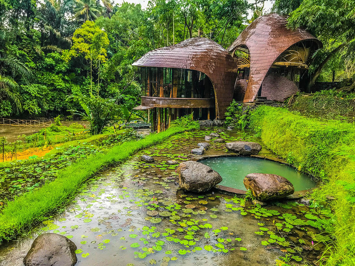 Bamboo: The Future of Sustainable Lifestyle