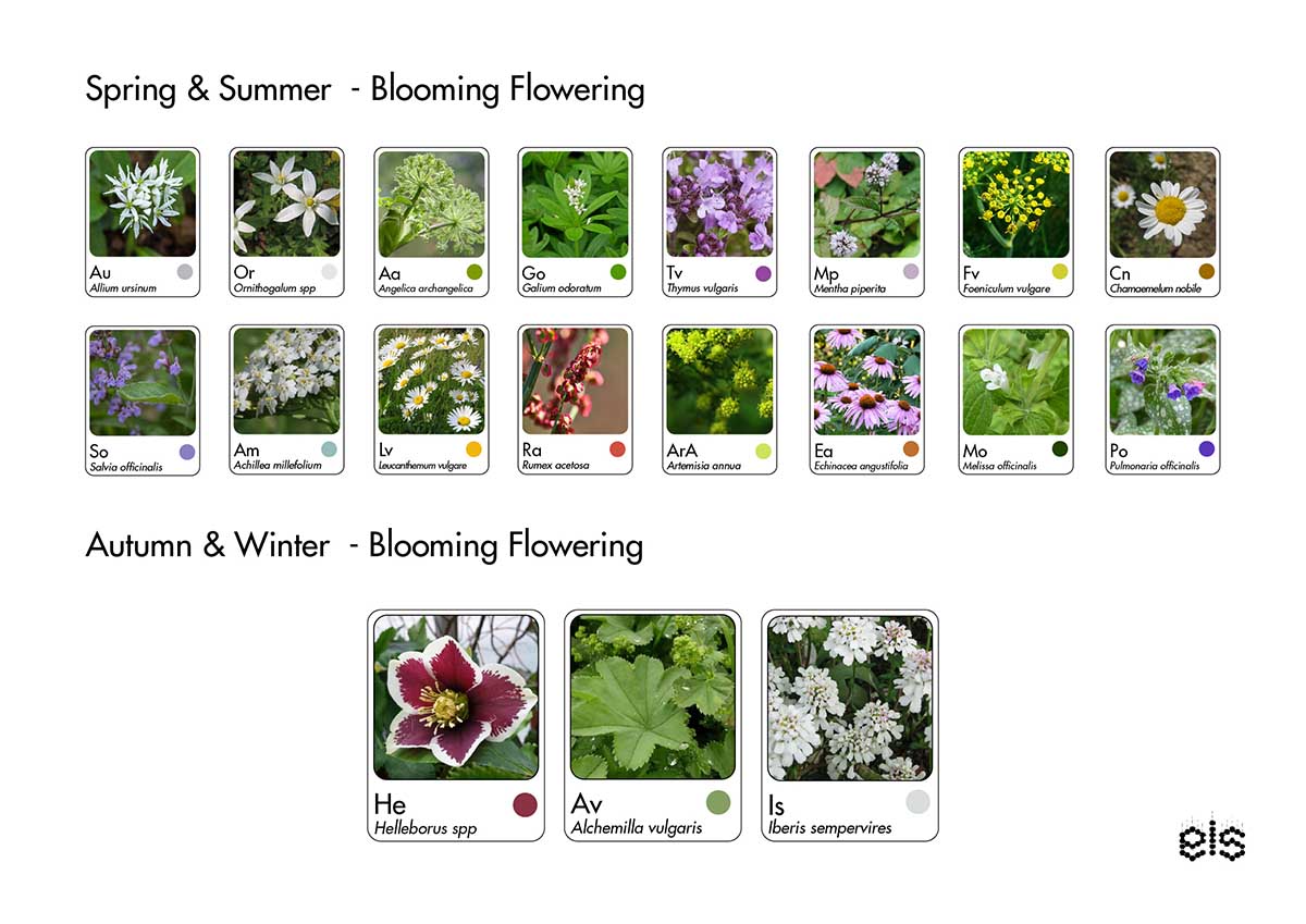 ecoLogicStudio creates the 