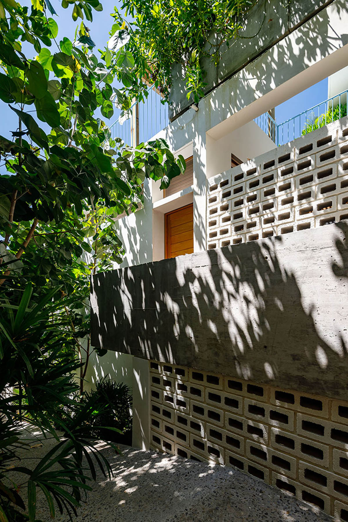 Francisco Pardo Arquitecto's housing features circular  pool overlooking the coastal landscape