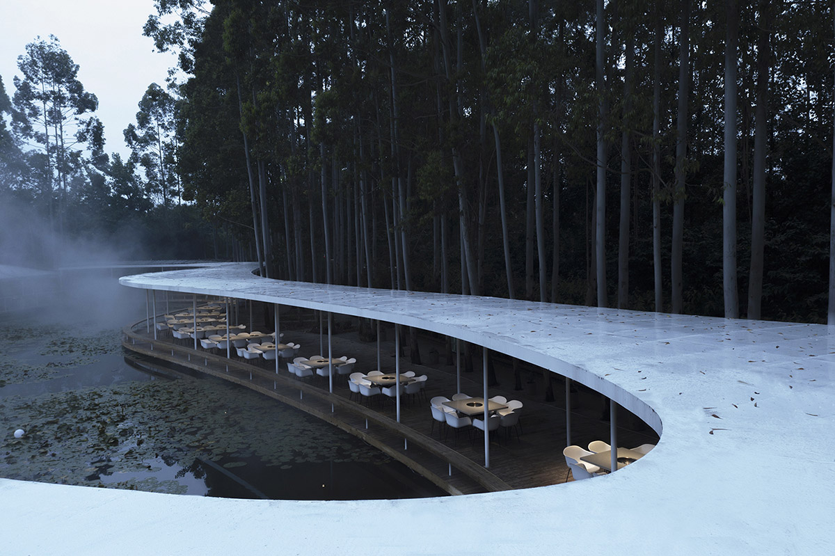 MUDA-Architects' snake-like restaurant blends with slender pillars and trees in a eucalyptus forest