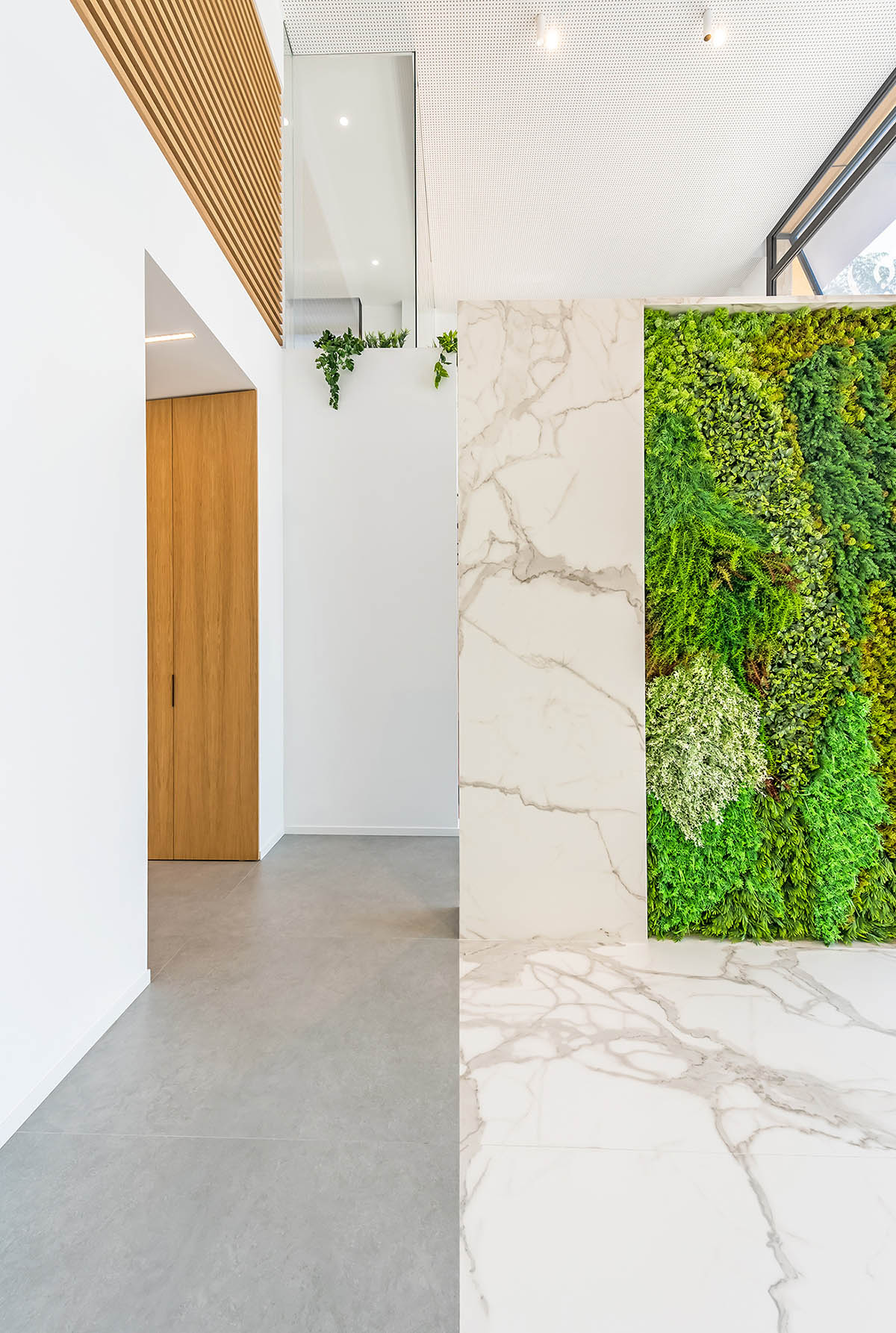 Pablo Muñoz Payá Arquitectos completes Comisura Dental Surgery with bright and colorful interiors