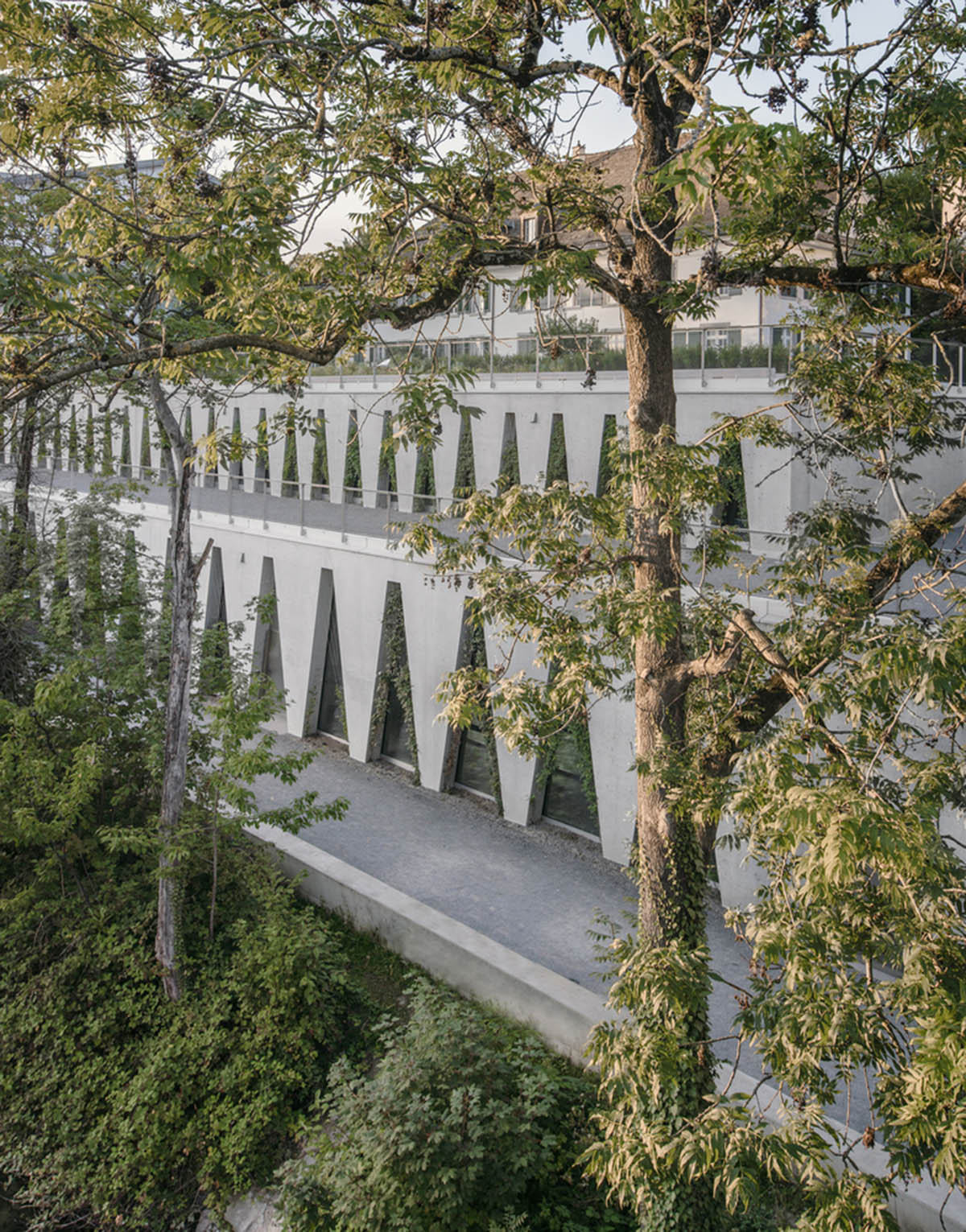 Trapezoidal openings characterize the interiors of cultural center by Estudio Barozzi Veiga in Zürich