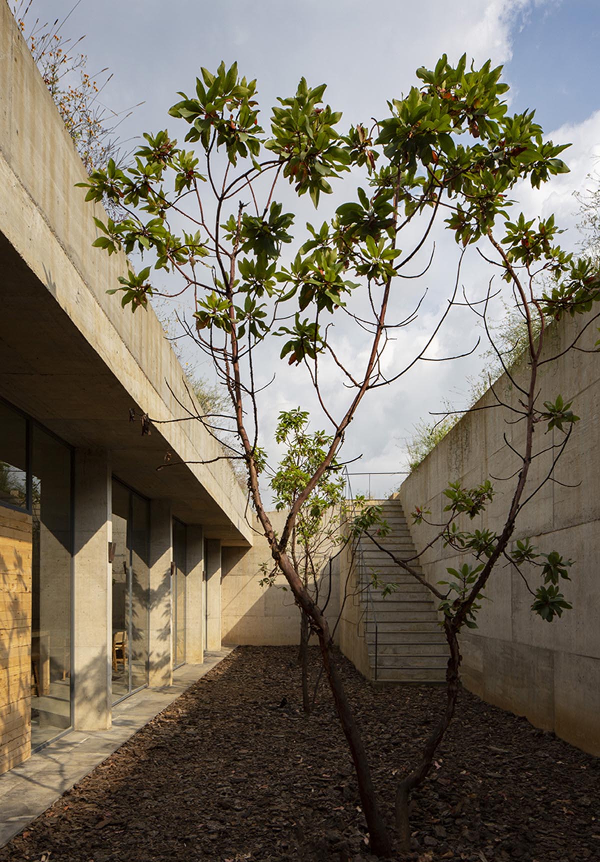 Francisco Pardo Arquitecto designs underground home immersed in the Mexican forest 