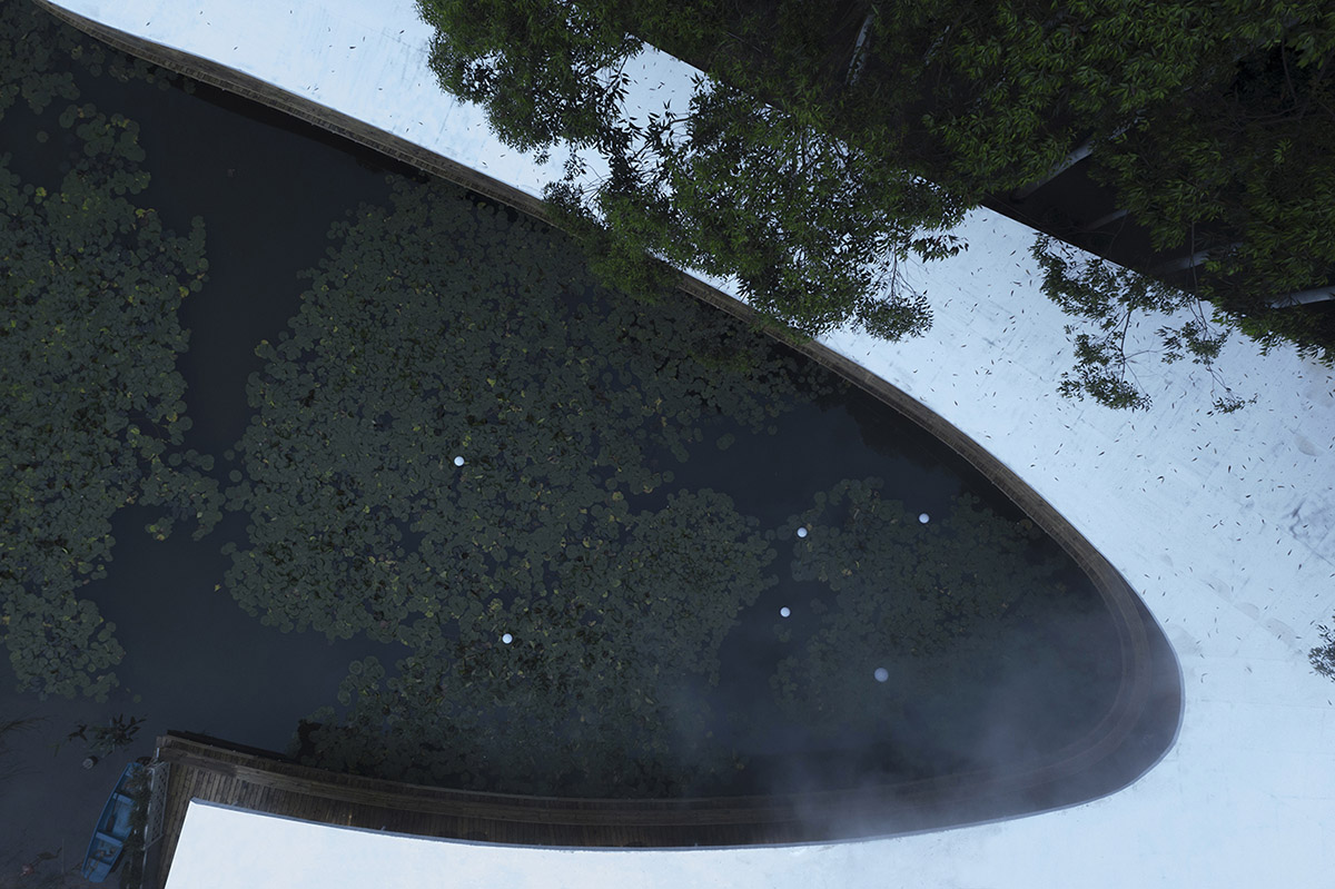 MUDA-Architects' snake-like restaurant blends with slender pillars and trees in a eucalyptus forest