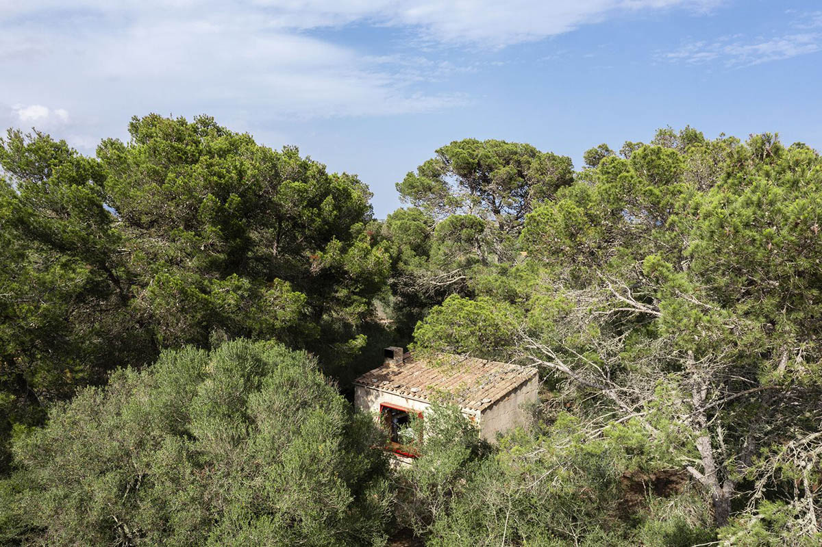 Mariana de Delás converts disused structure into an escape home within a Spanish pine yard 