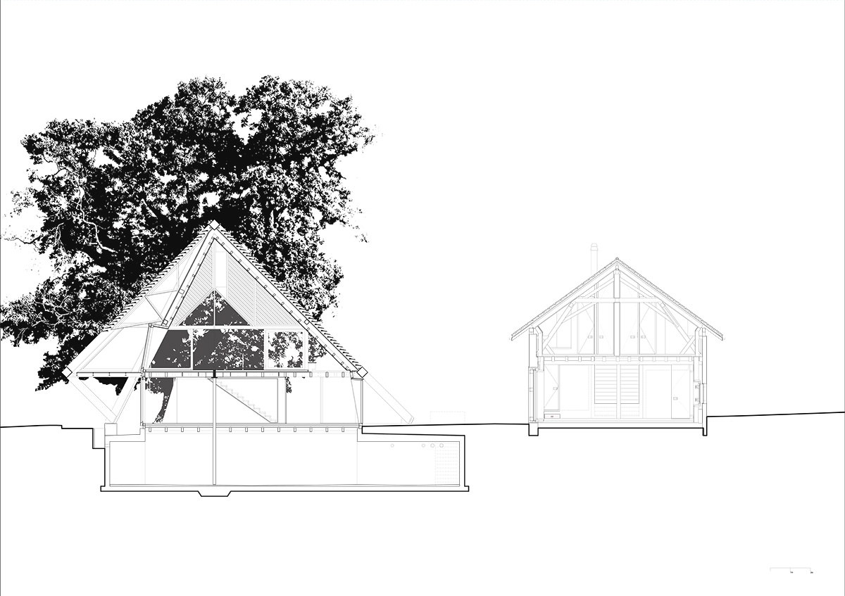 Dieter Dietz completes birdhouse-looking living space nestled in the Swiss rural landscape