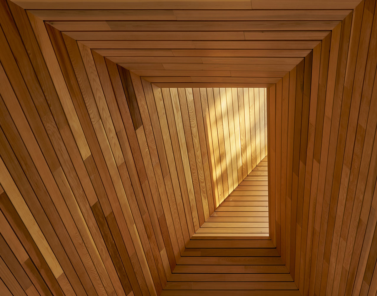 MacKay-Lyons Sweetapple Architects completes island cabins with extruded roofs among pine trees