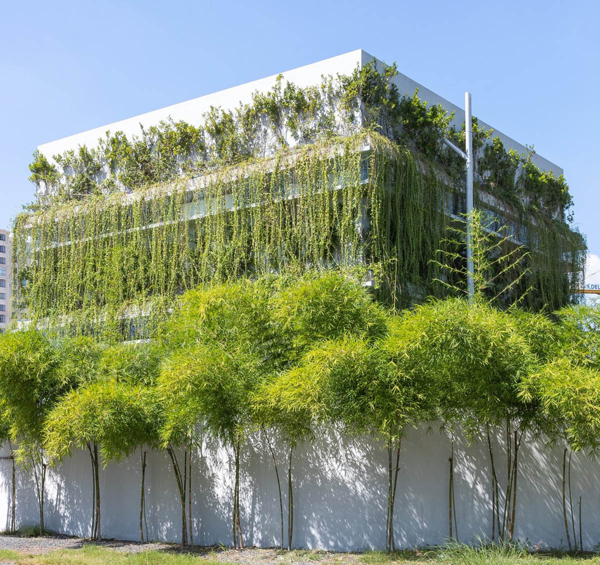 MIA Design Studio created vertical open library inside its office filled with greenery in Vietnam