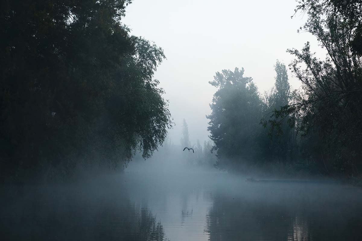 Mexico Pavilion will focus on Regenerative Architecture at the 2025 Venice Architecture Biennale