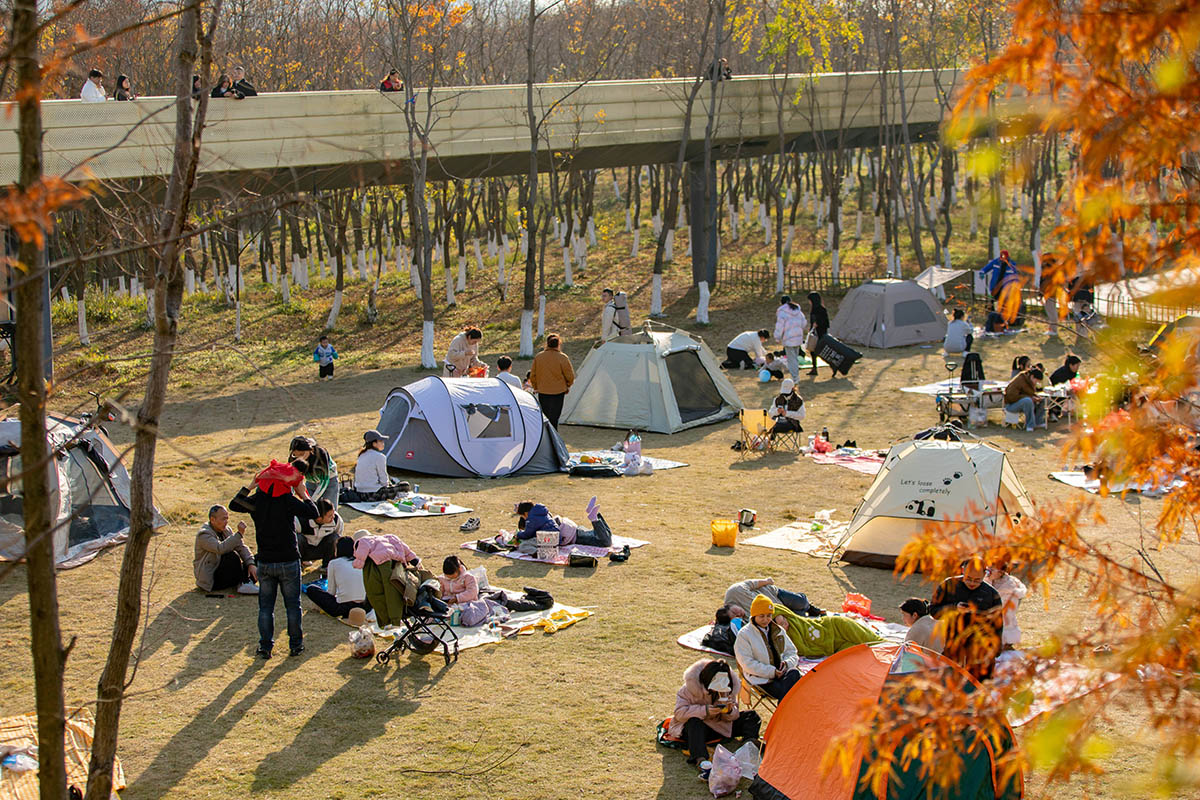 Landscape of the Year 2025 goes to Embracing Flood: Xinjiang River Ecological Corridor by Turenscape 