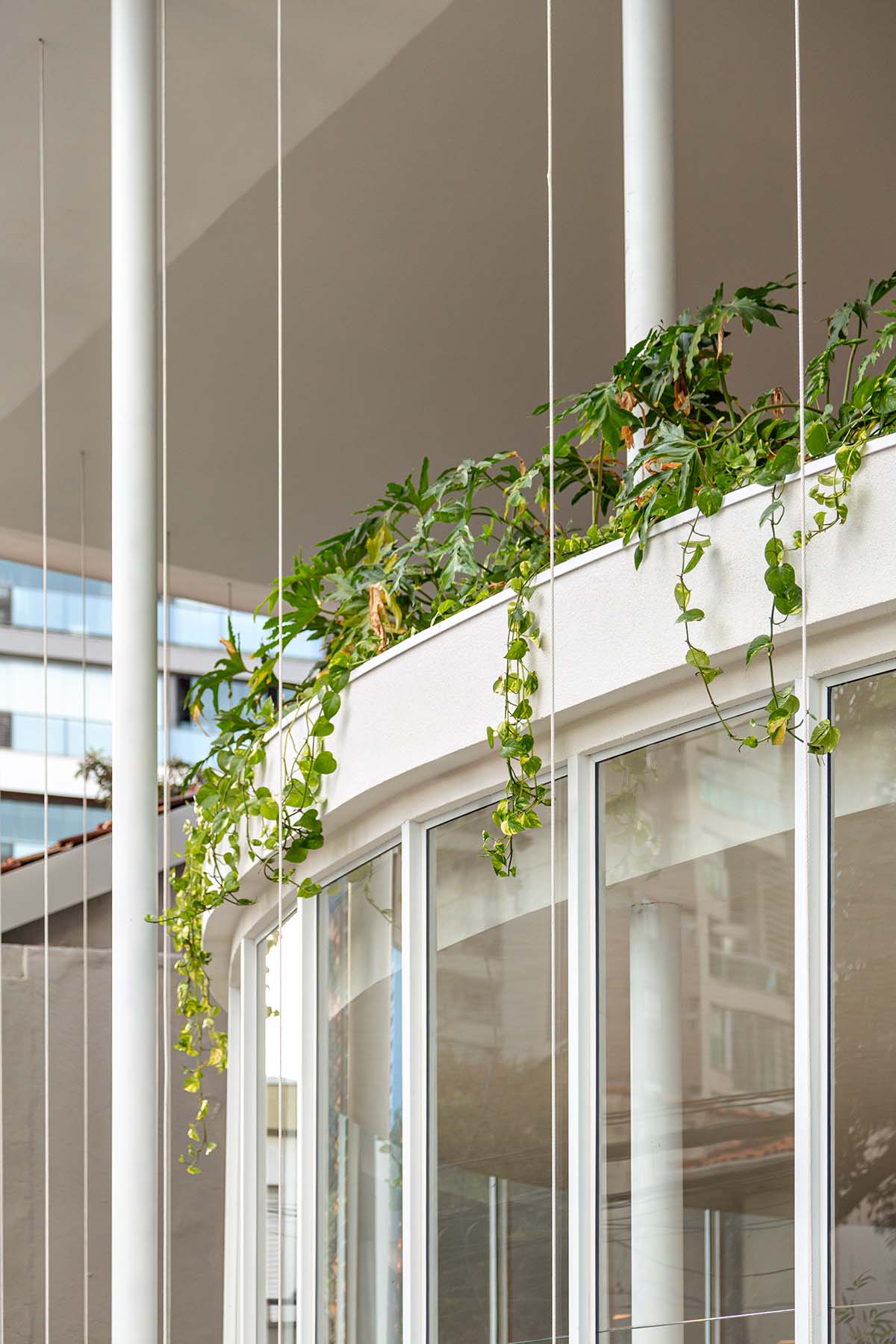 Tess Pavilion is a harmonious fusion of structure and space with slender columns in São Paulo